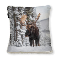 Moose