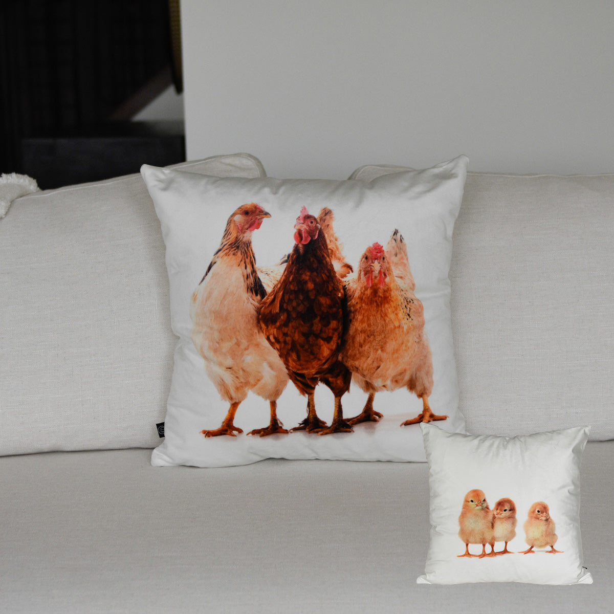 Hen's & Chick's