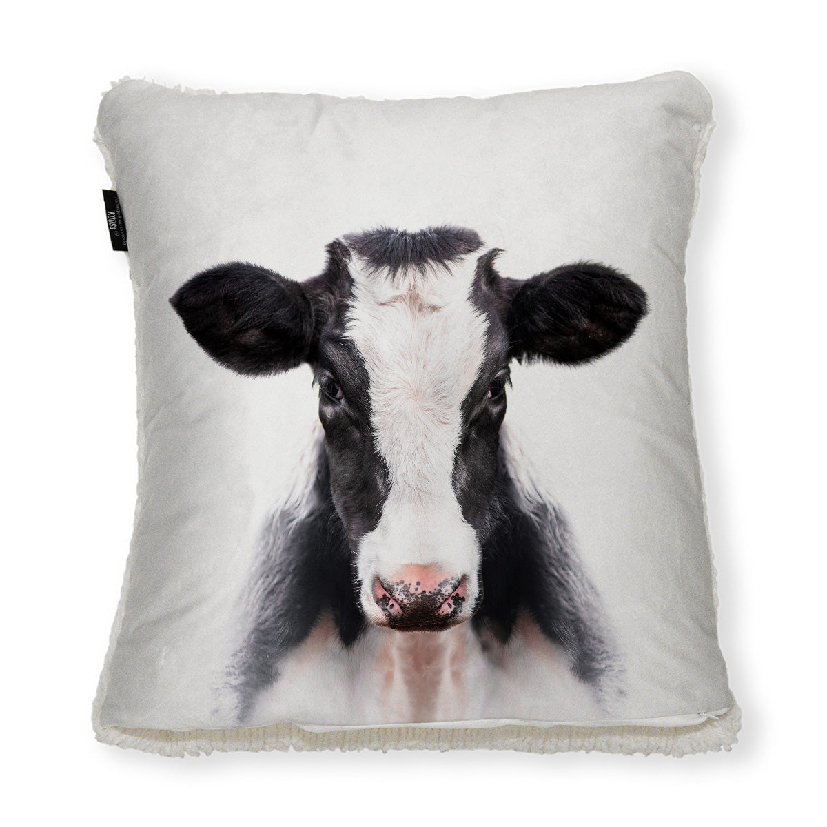 Jersey Cow