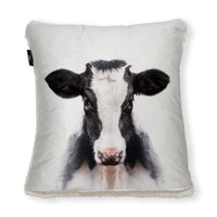 Jersey Cow