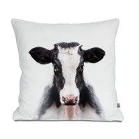 Jersey Cow