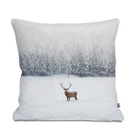 Deer in Winter Wonderland from @alftown