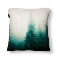 Fir