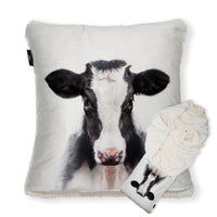 Jersey Cow