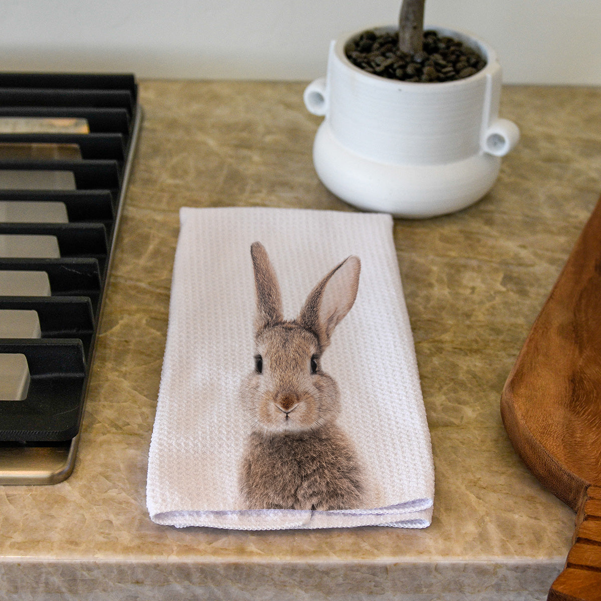 Bunny