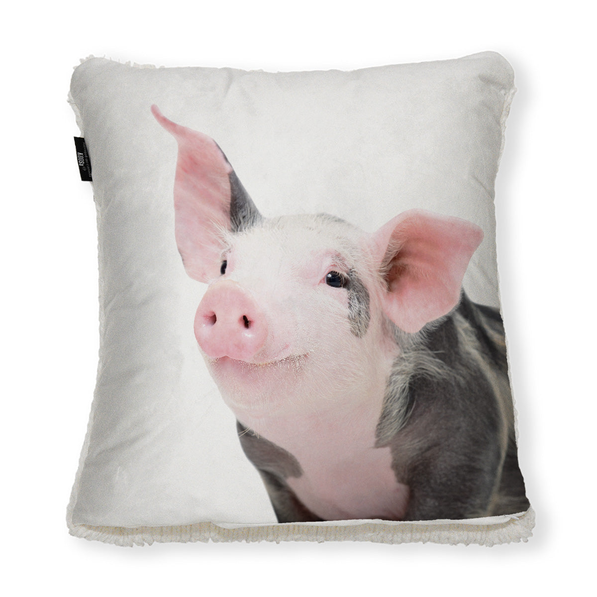 Pig