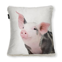 Pig