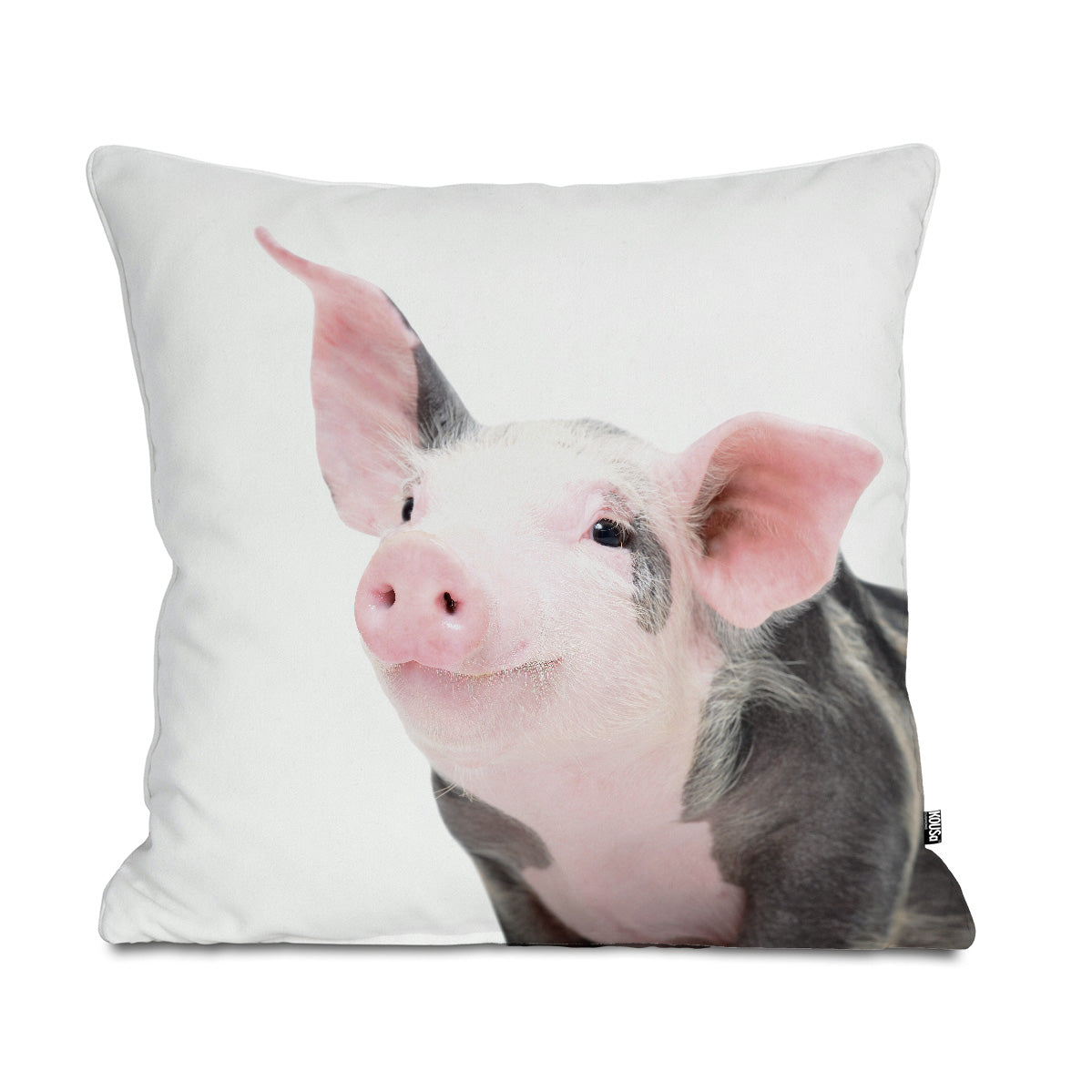 Pig