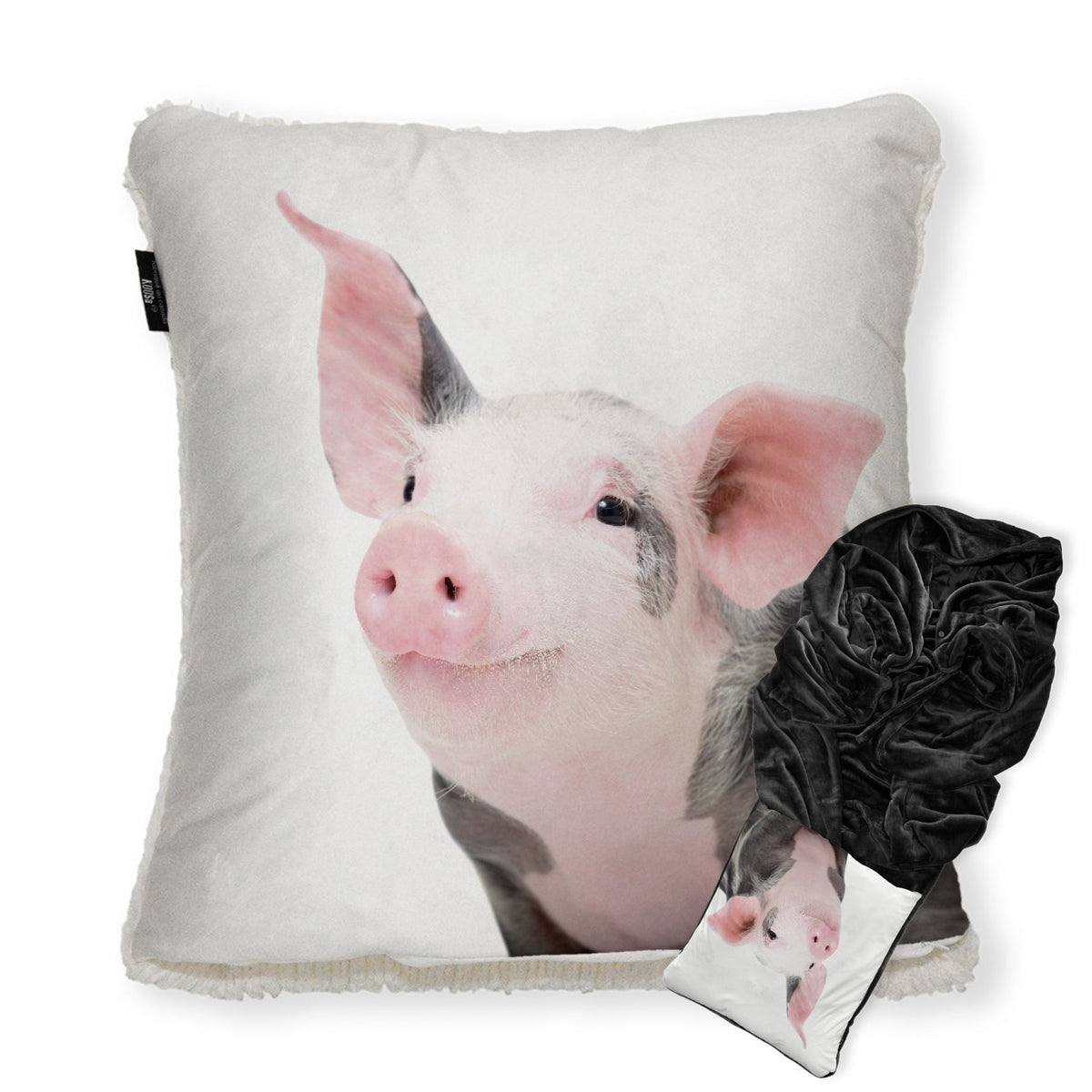 Pig