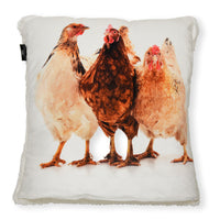 Hen's & Chick's