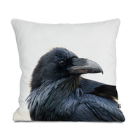 Raven
