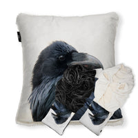 Raven