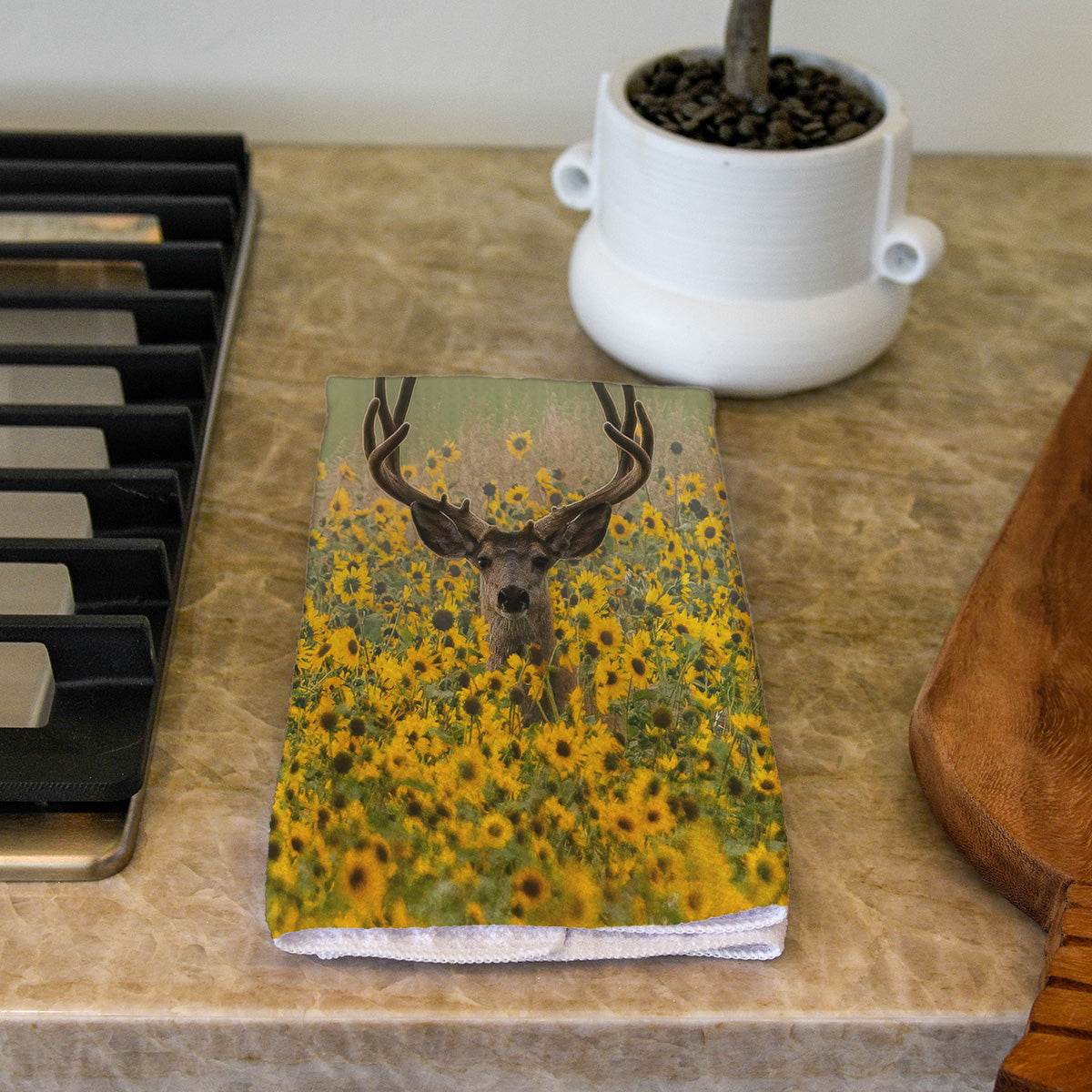 Buck in Sunflower Field from @alftown