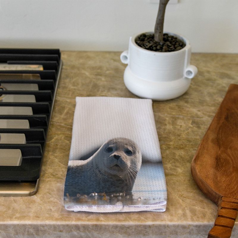 Seal