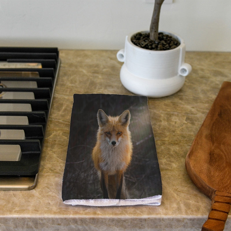 Fox
