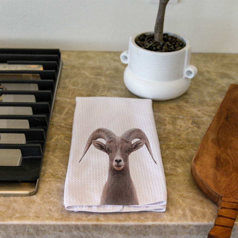 Ram